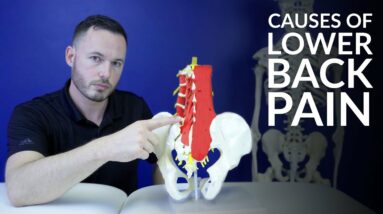 Low back pain- The most common causes of lower back pain