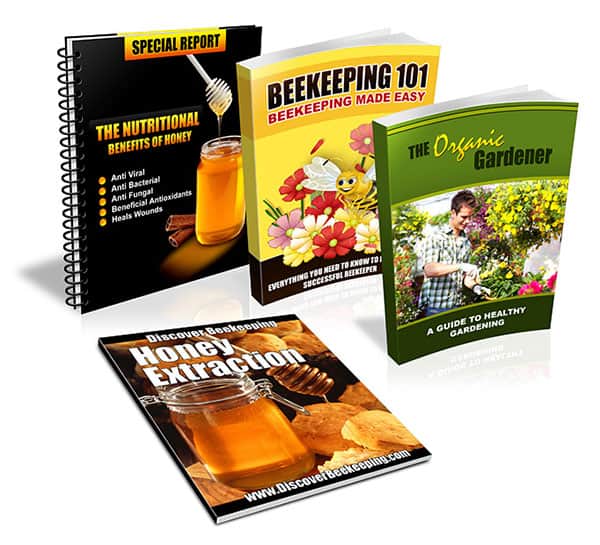 Beginners Guide To Beekeeping