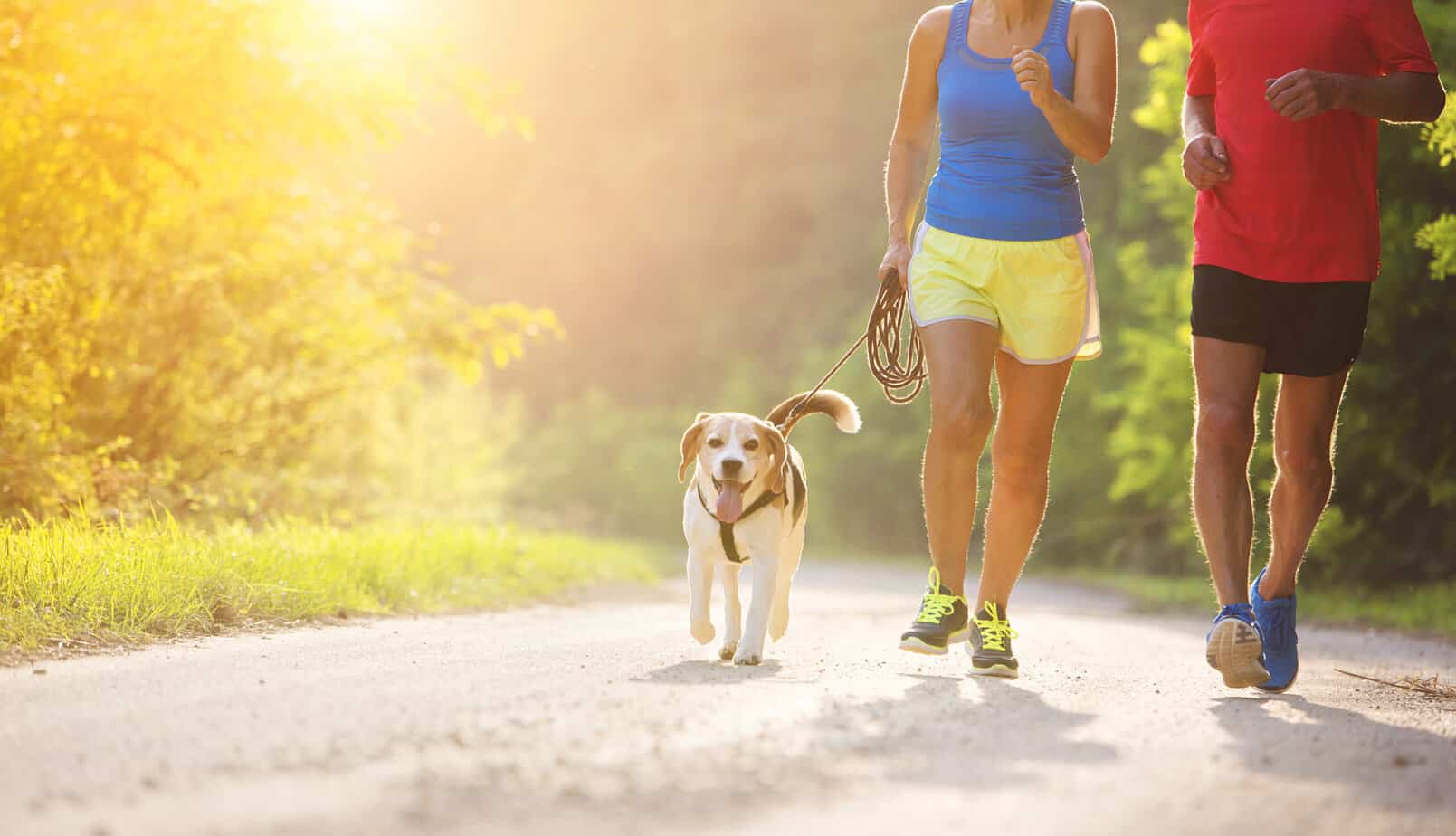 graphicstock active seniors running with their dog outside in green nature SRlcc yRb scaled